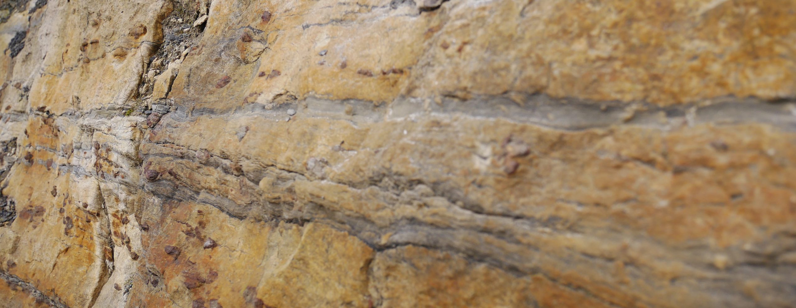 Stratigraphy at spireslack